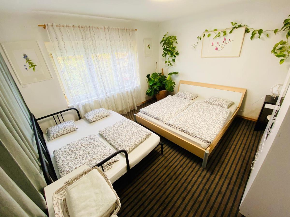 Family Guesthouse Greenslo Lublana Zewnętrze zdjęcie
