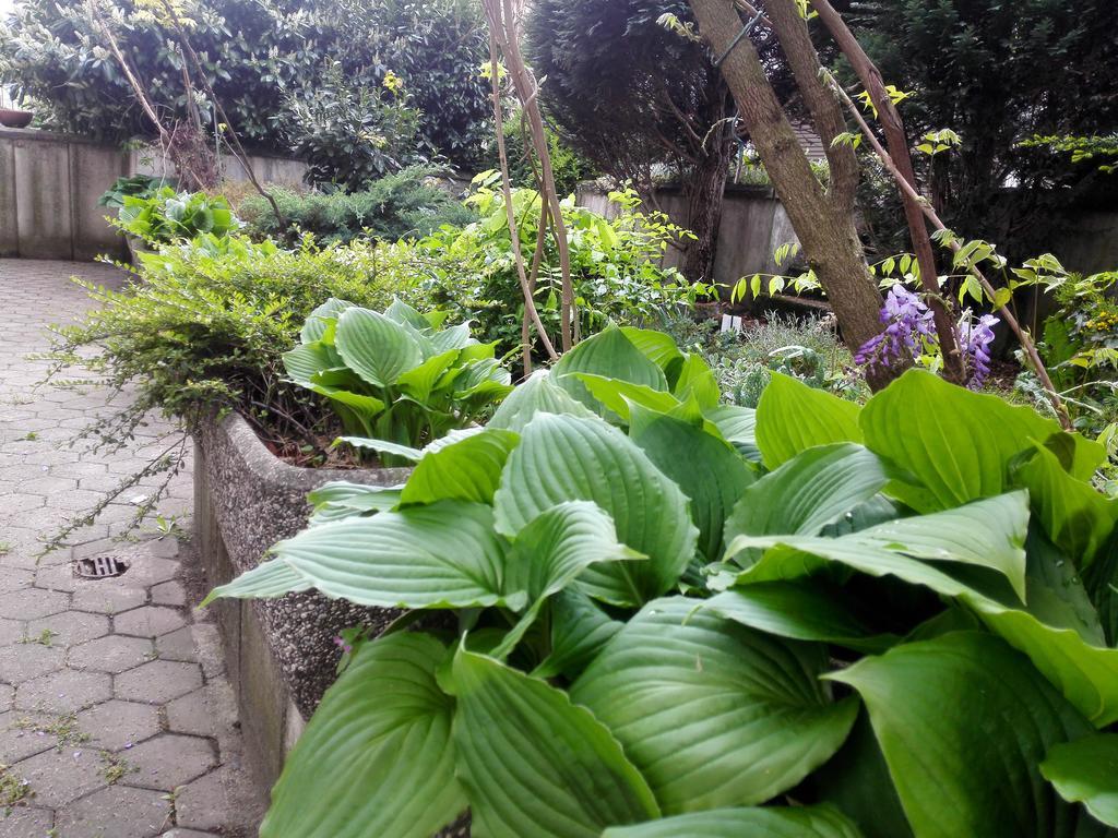 Family Guesthouse Greenslo Lublana Zewnętrze zdjęcie